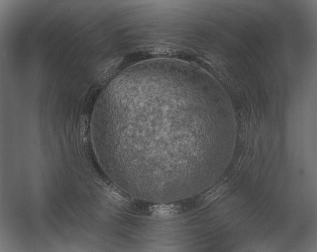 X0000058800273200510031328
