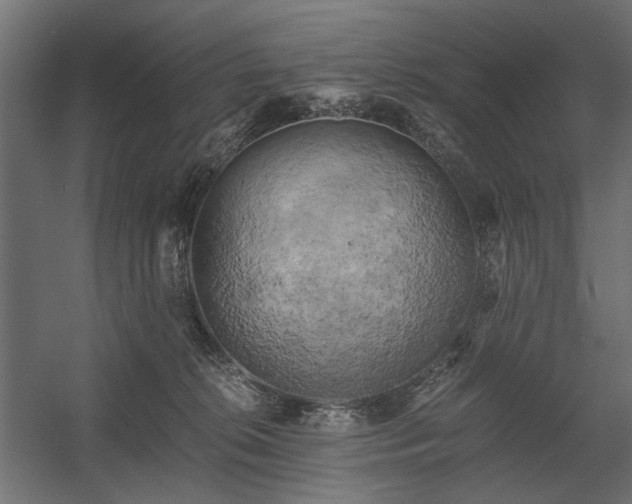 X0000058800276200510031328