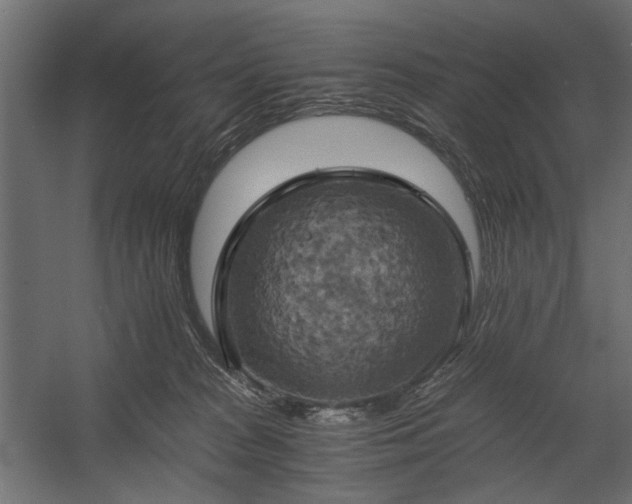 X0000058800277200510031328
