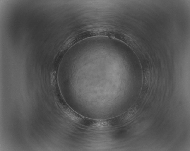 X0000058800278200510031328
