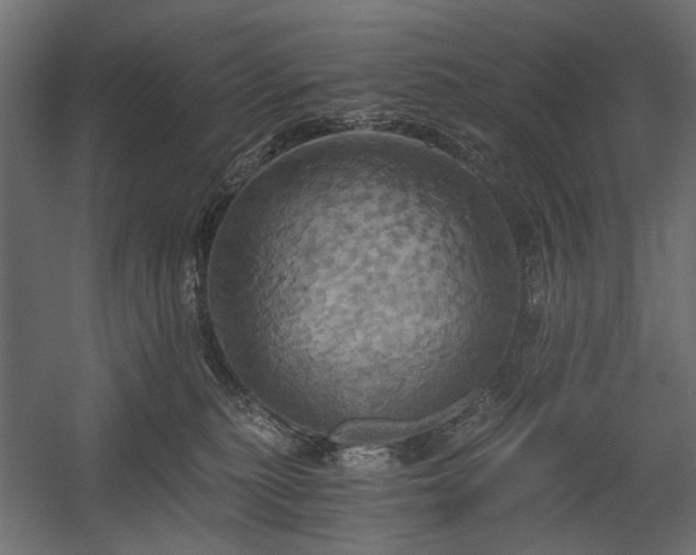 X0000058800279200510031328