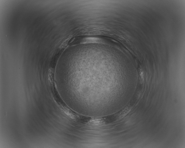 X0000058800280200510031328
