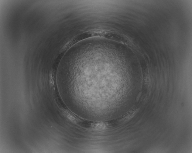 X0000058800282200510031328