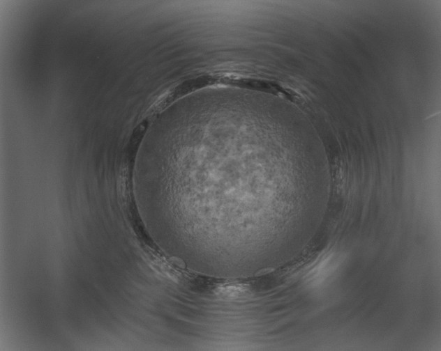 X0000058800283200510031328