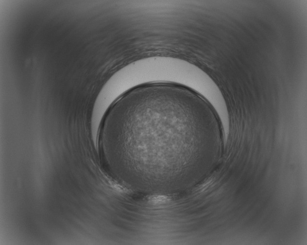 X0000058800287200510031328