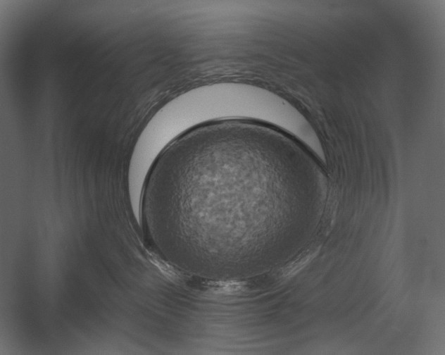 X0000058800288200510031328