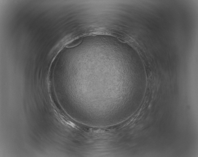 X0000058800290200510031327