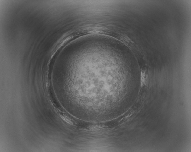 X0000058800291200510031327