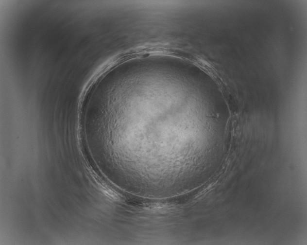 X0000058800293200510031327