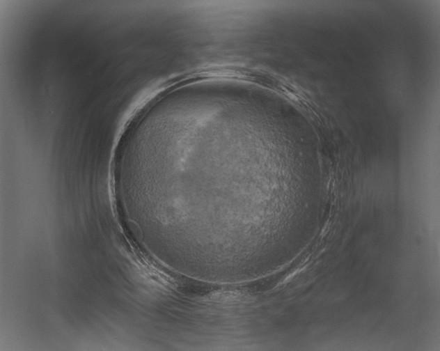 X0000058800294200510031327