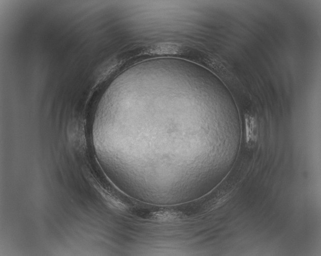 X0000058800300200510031327