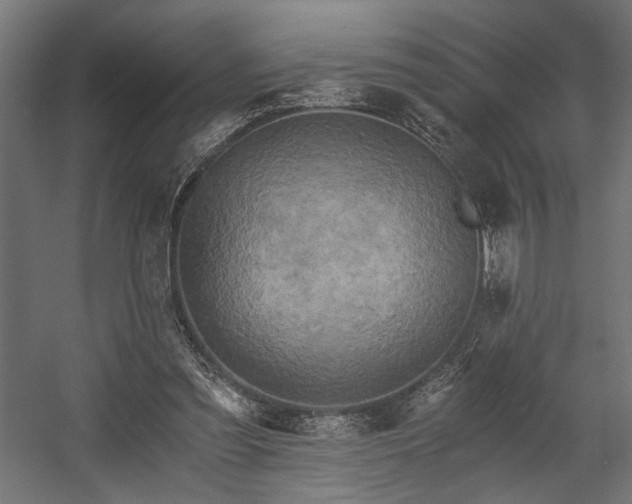 X0000058800301200510031327