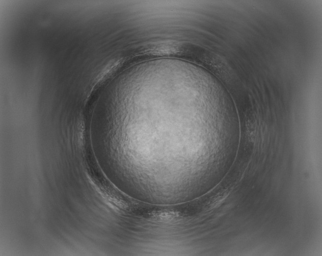 X0000058800304200510031327