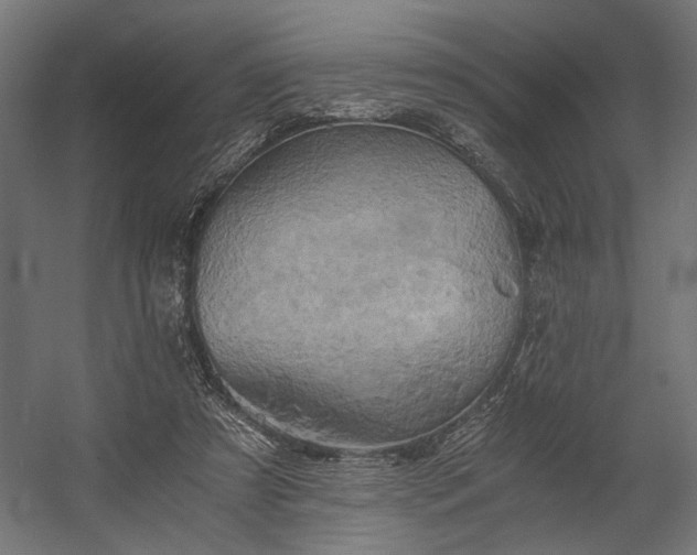 X0000058800305200510031327