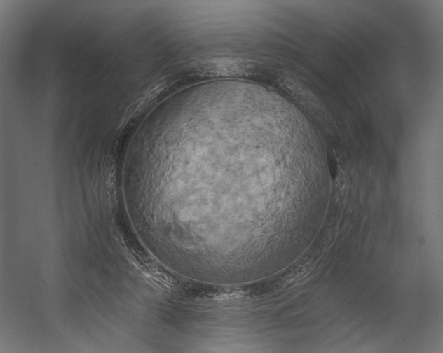 X0000058800306200510031327