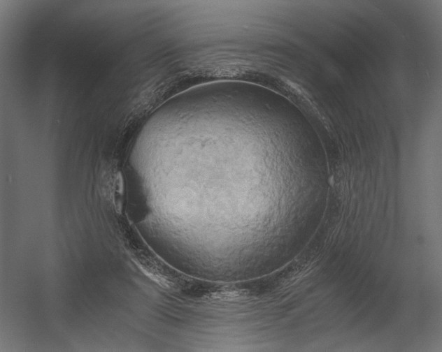 X0000058800307200510031327