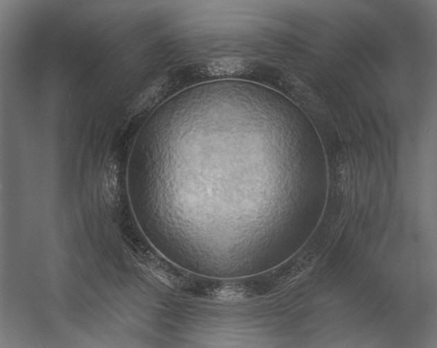 X0000058800308200510031327