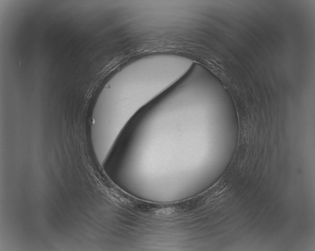 X0000058800309200510031327