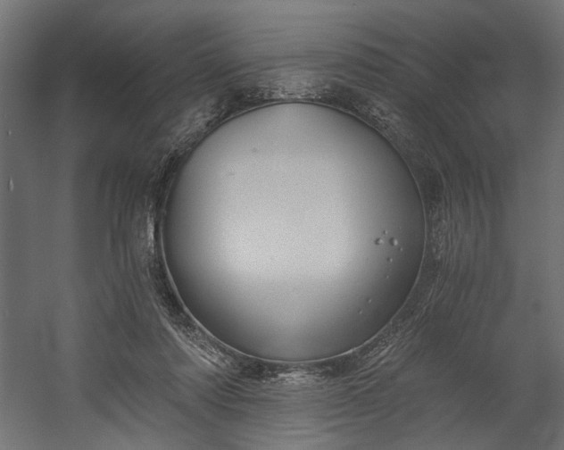 X0000058800310200510031327