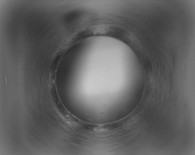 X0000058800311200510031327