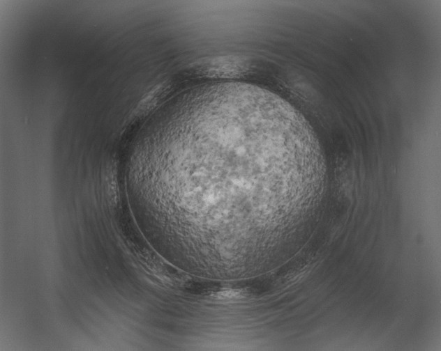 X0000058800312200510031327