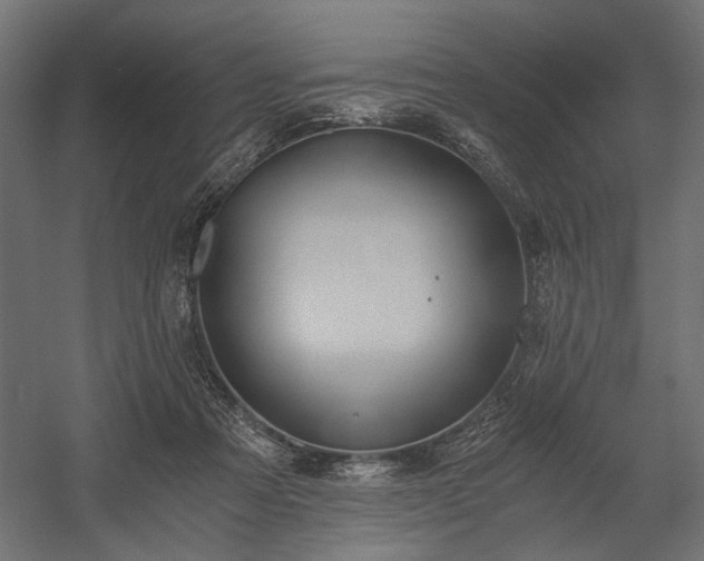 X0000058800313200510031327