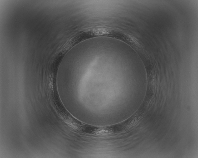 X0000058800315200510031327