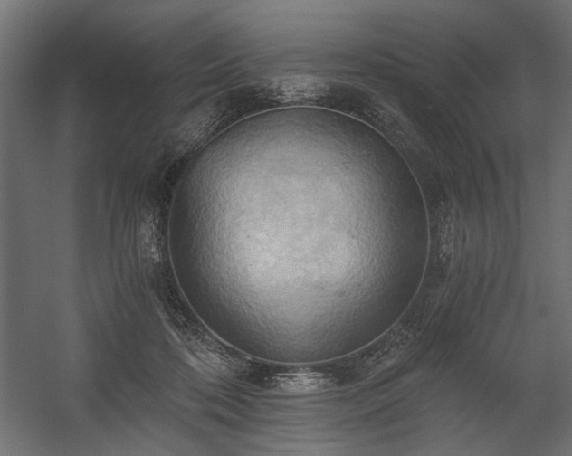 X0000058800316200510031327