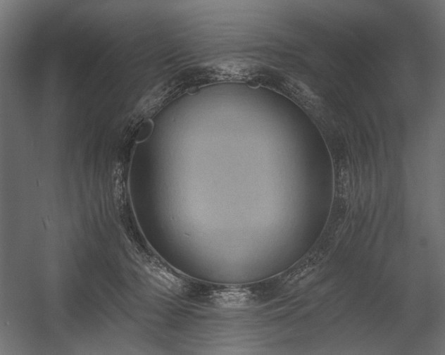 X0000058800318200510031327