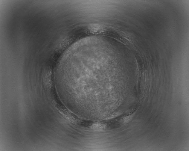 X0000058800319200510031327
