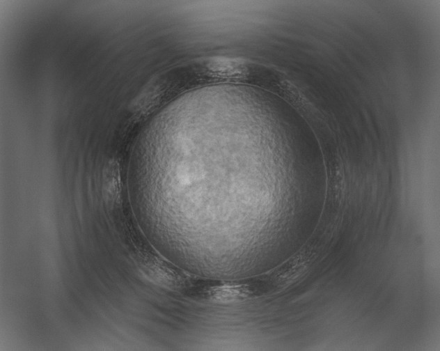X0000058800320200510031327