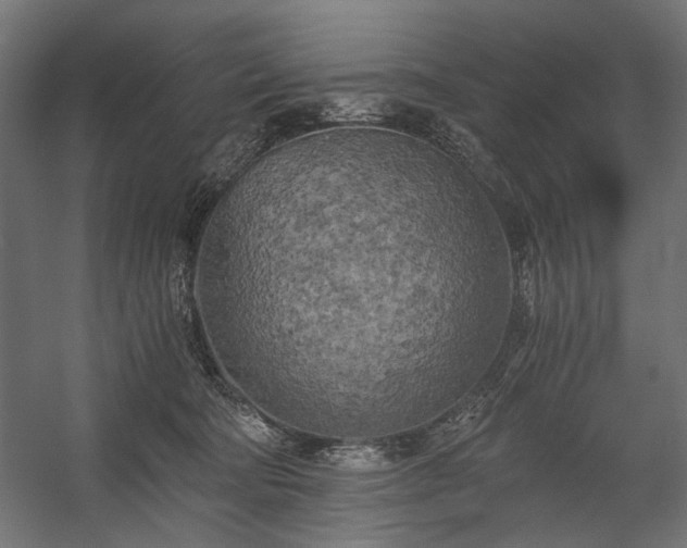 X0000058800322200510031327