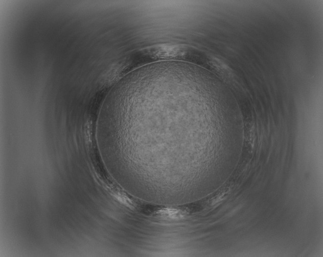 X0000058800326200510031327