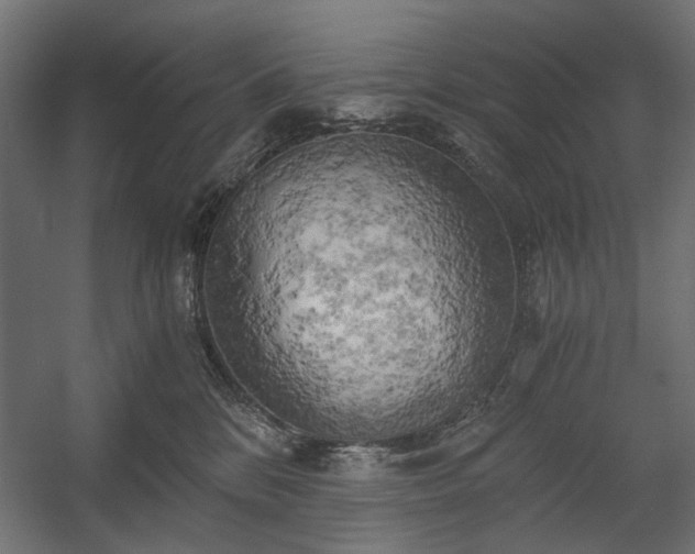 X0000058800328200510031327