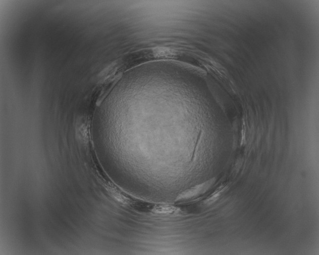 X0000058800329200510031327