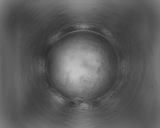 X0000058800330200510031327