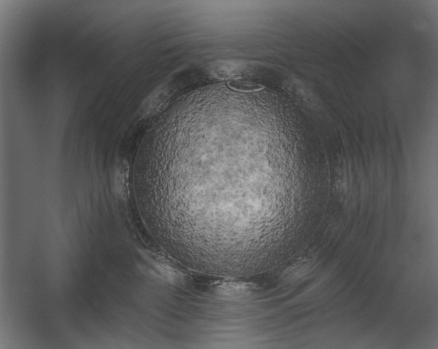 X0000058800332200510031327