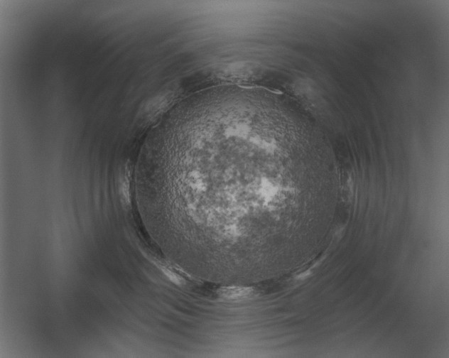 X0000058800334200510031327