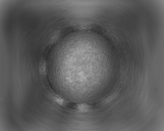 X0000058800336200510031327