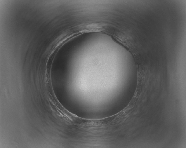X0000058800338200510031326