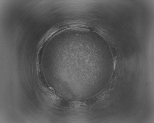 X0000058800339200510031326