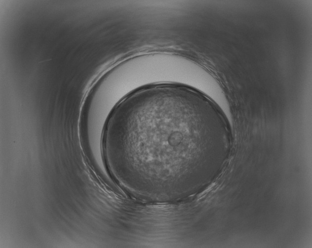 X0000058800340200510031326