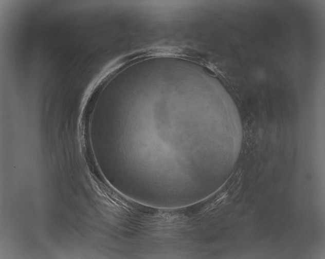 X0000058800343200510031326
