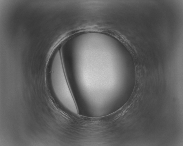 X0000058800344200510031326