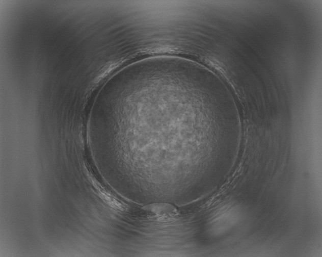 X0000058800345200510031326
