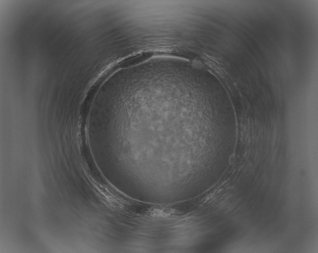 X0000058800346200510031326