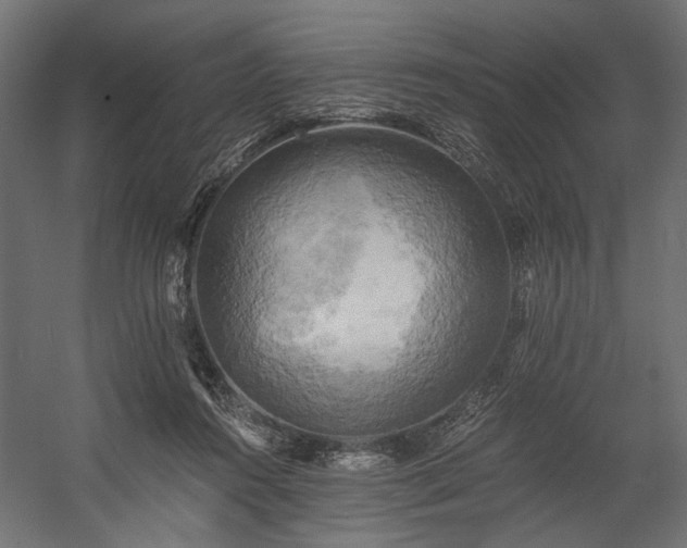X0000058800360200510031326