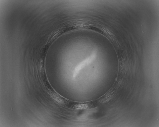 X0000058800361200510031326