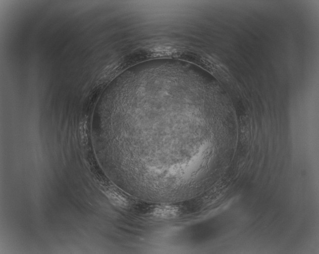 X0000058800369200510031326