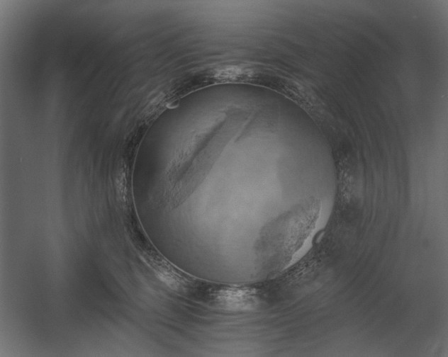 X0000058800375200510031326
